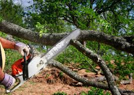 Best Emergency Tree Removal  in Unalaska, AK