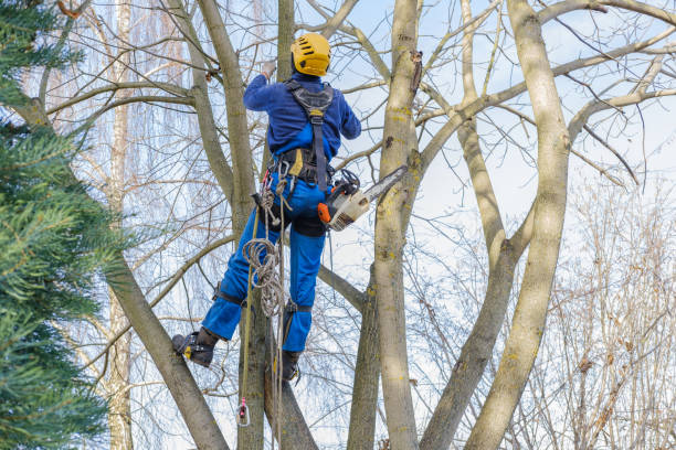 Best Aeration Services  in Unalaska, AK