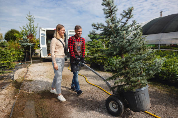 Lawn Pest Prevention in Unalaska, AK